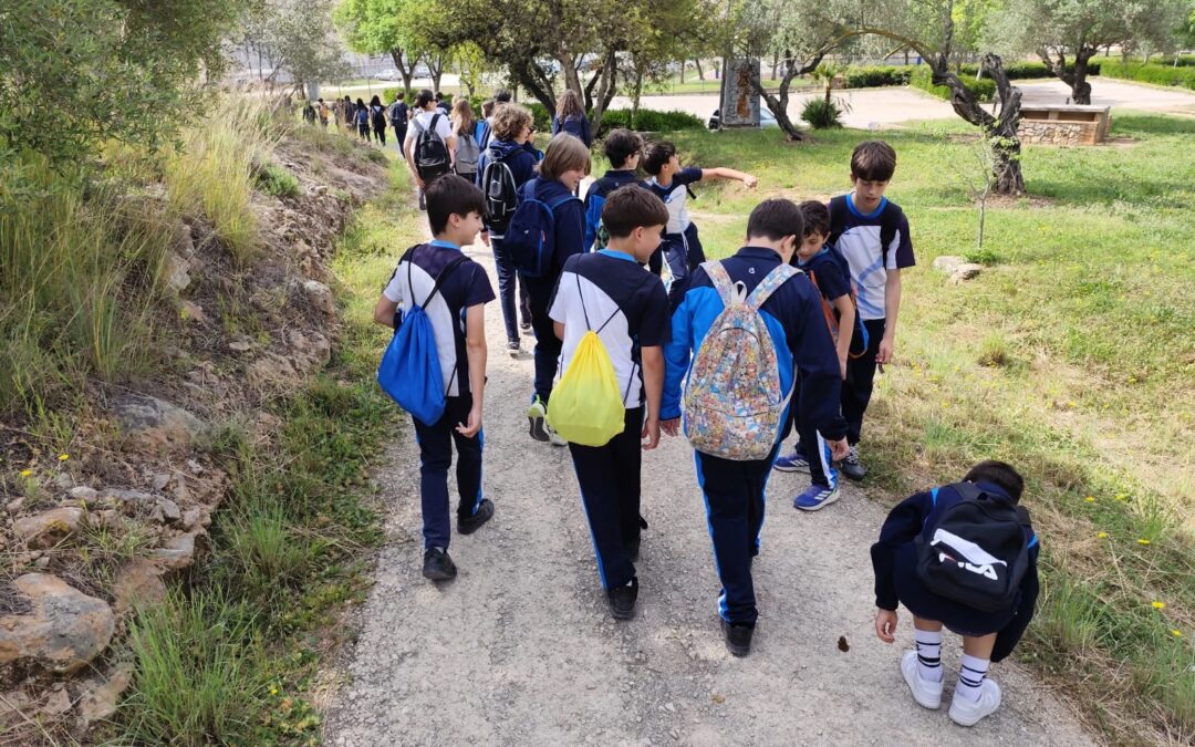 Projecte Guadabosc